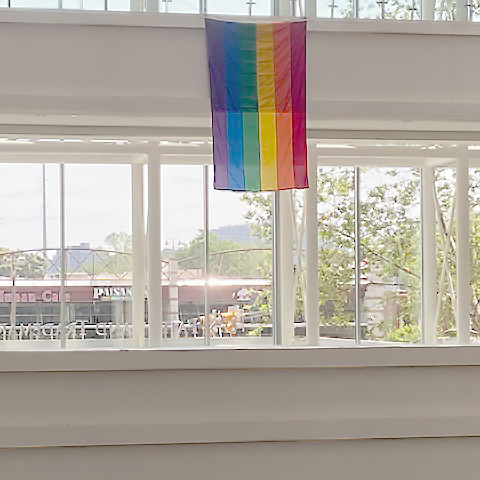 Photo of a rainbow flag hanging from the Madison catwalk railing.